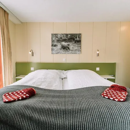 Les Amis Otel Saas Fee