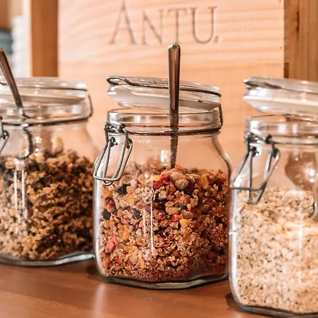 Hotel Les Amis Saas-Fee