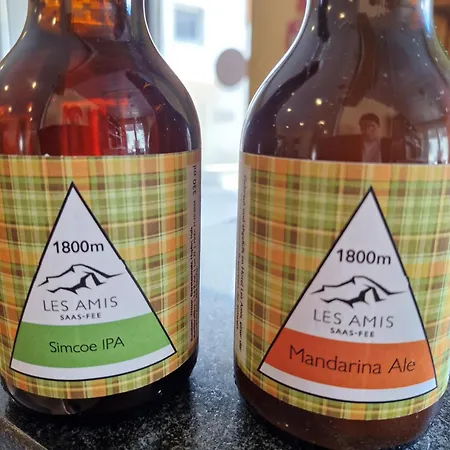 Hotel Les Amis Saas-Fee