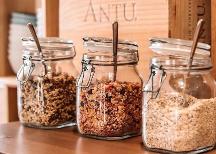 Hotel Les Amis Saas-Fee