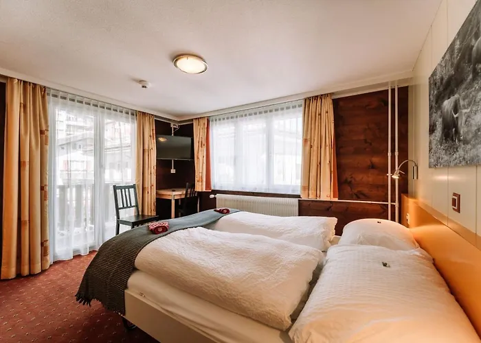 Les Amis サース フェー