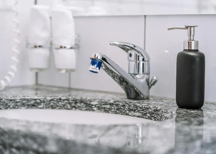 Les Amis サース フェー